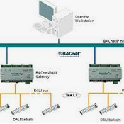 Alex Turner - Lighting Technician