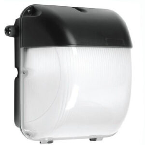 DALI Wall Pack Light