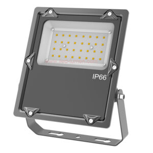 DALI Security Light LED 30W Dimmable IP66